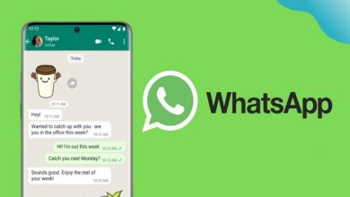 how-to-see-whatsapp-online-status-in-2024:-manual-and-automated-methods